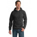 Port & Company ® - Essential Fleece Pullover Hooded Sweatshirt. Port & Company ® - Essential Fleece Pullover Hooded Sweatshirt.